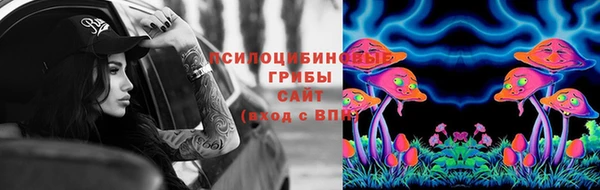 Альфа ПВП Абаза