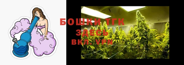Альфа ПВП Абаза