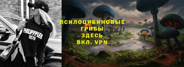 Альфа ПВП Абаза