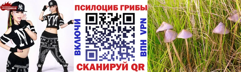 Галлюциногенные грибы Psilocybe  Алапаевск 
