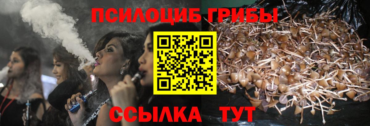 Псилоцибиновые грибы мухоморы Алапаевск